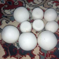 الماس آسیاب