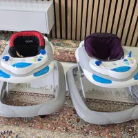 دو عدد روروئک
