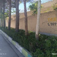کارشناس فضای سبز