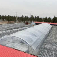 استخدام|استخدام صنعتی، فنی، مهندسی|ممقان, |دیوار