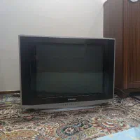 تلویزیون 29 اینج پشت دار