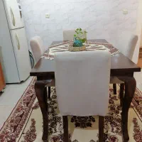 میز غذا خوری بسیار خوشرنگ و راحت