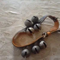 قلاده سگ
