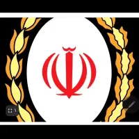 بیمه ایران زمین
