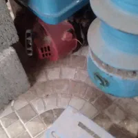 فنچ مخصوص تور حلقه ای و میگو