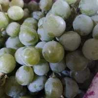 غوره
