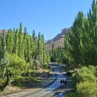 تور طبیعت گردی و سفر یک روزه