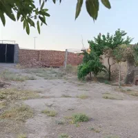 دامداری
