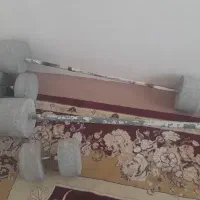 دمبل بتنی هالتر