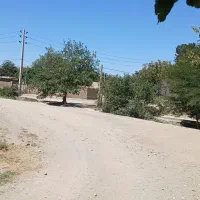 زمین شهر چناران وگلبهار