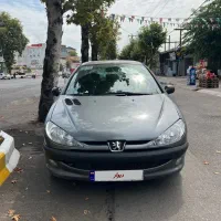۲۰۶ مدل ۱۳۹۱