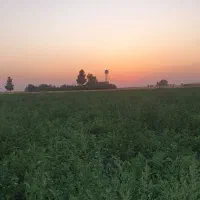 چهار-هزار-متر-زمین-مناسب-باغ-داری