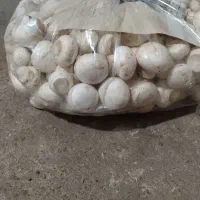 قارچ درجه یک