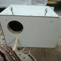 لونه پرنده چوبی بزرگ