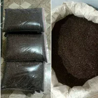 بزرک  محصول امسال  پاک شده و بدون خاک و سنگریزه