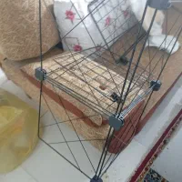 قفسه کتاب