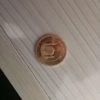 سکه تمام امامی زیر قیمت