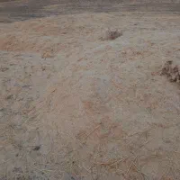 کاه خرمنکوبی