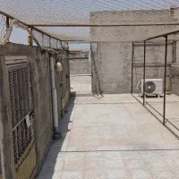 کفتر کبوتر تور نخی جا دونی جا آبی