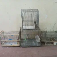 قفس سهره تله قفس وقفس عروس هلندی