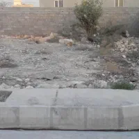 زمین-فروشی-رسول-اکرم
