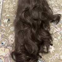 مو با کلیپس