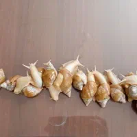 حلزون