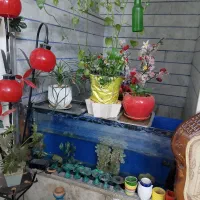 آکواریوم بزرگ