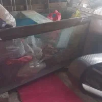اکواریوم