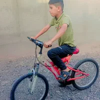 دوچرخه 20