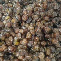 خرما|خوردنی و آشامیدنی|بندرعباس, |دیوار