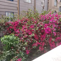 آپارتمان ۹۵متر سه خواب امیریه ارشدی