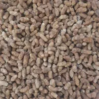 توت خشک اعلا ودرجه یک
