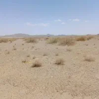 زمین کشاورزی ۲۱ هکتاری
