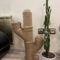 اسکرچر گربه