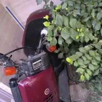 پاکشتی وکس