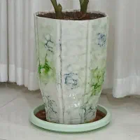 گلدان بزرگ و بسیارزیبا