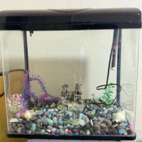 آکواریوم کاملا سالم با وسایل