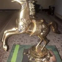 جنس بورنز