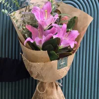 بهترینها را از خانه گل مهرا بخواهید