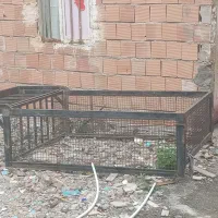 اتاق وانت