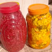 فروش ترشی خانگی درجه