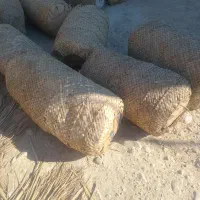 فروش برگ زرد درج یک لمبدان