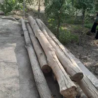 تیر چوبی