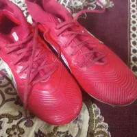 استوک مخصوص چمن