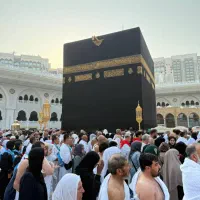 ریال کلکسیونی عربستان