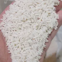 برنج هاشمی