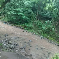 طبیعت گردی