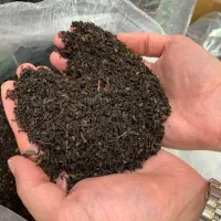 انواع چای بهاره همکاری