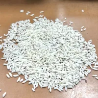 برنج ممتاز صادقی دورود
